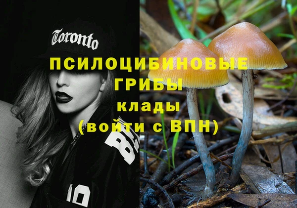таблы Новозыбков