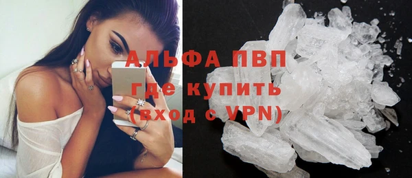 таблы Новозыбков