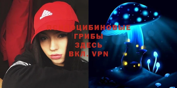 таблы Новозыбков