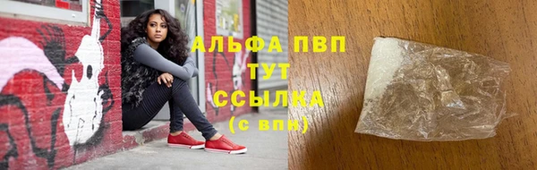 таблы Новозыбков