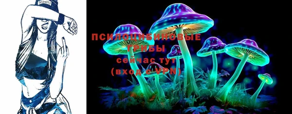 таблы Новозыбков