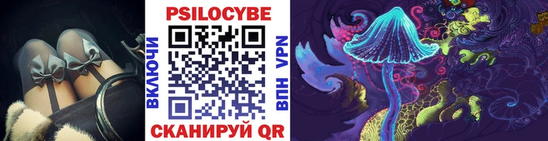 маркетплейс официальный сайт  Озёрск  Псилоцибиновые грибы Psilocybine cubensis 